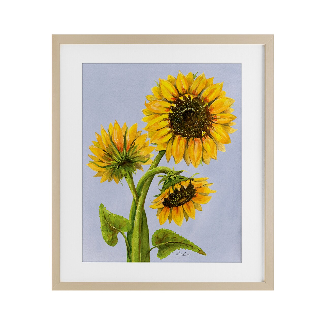 Stupell Industries Sunflower Trio Against Blue Framed Print Under Glass, design by Patti Bishop